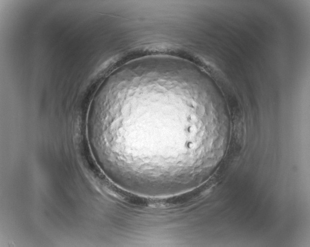 X0000081610591200701291429