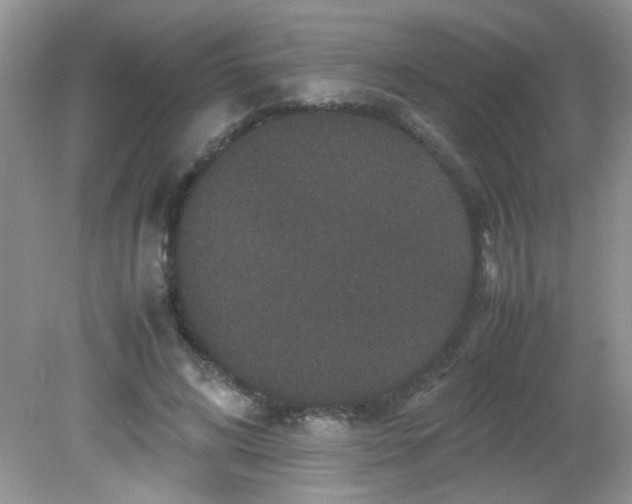 X0000081610592200701291429