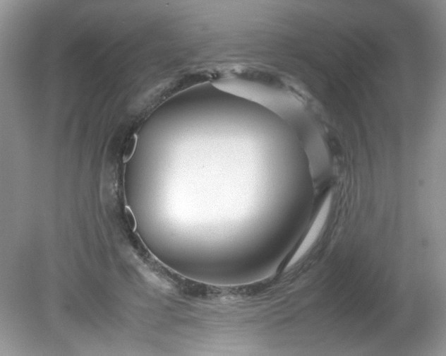 X0000081610593200701291429