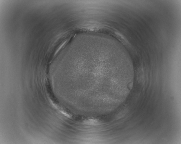 X0000081610594200701291429