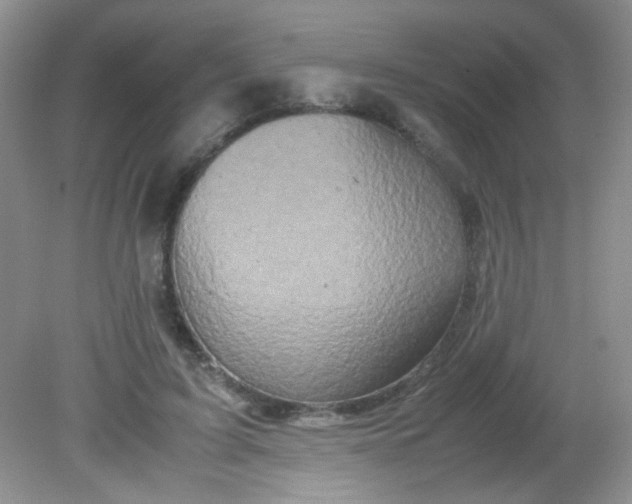 X0000081610595200701291429