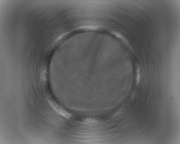 X0000081610596200701291429