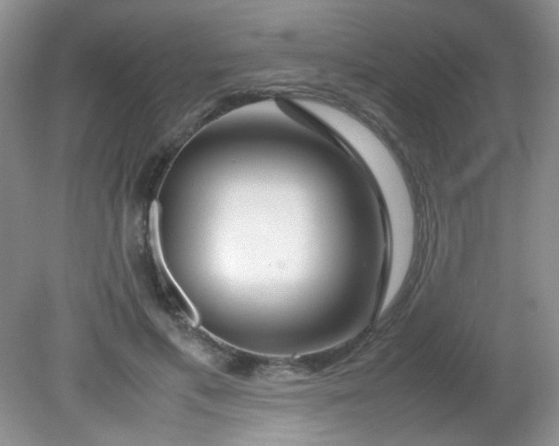 X0000081610597200701291429