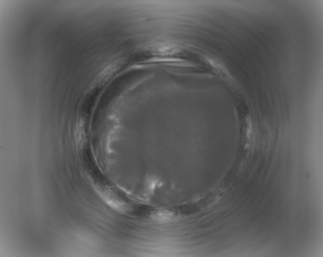 X0000081610598200701291429