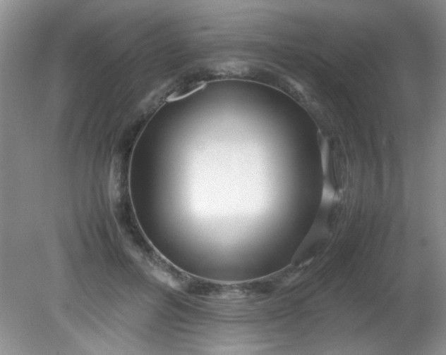 X0000081610600200701291429