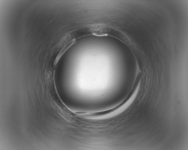 X0000081610601200701291429