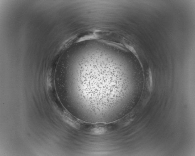 X0000081610604200701291429