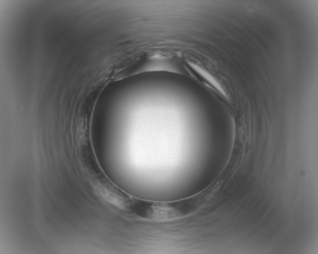 X0000081610605200701291429