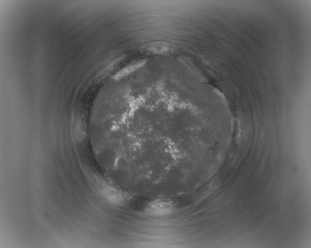 X0000081610606200701291429