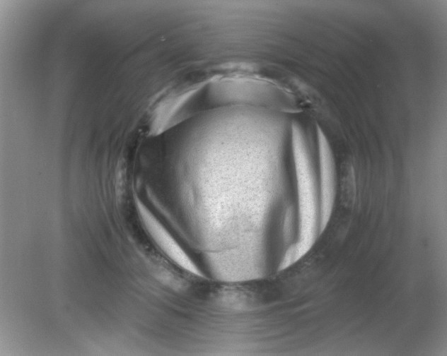 X0000081610608200701291429