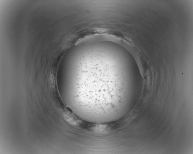 X0000081610609200701291429