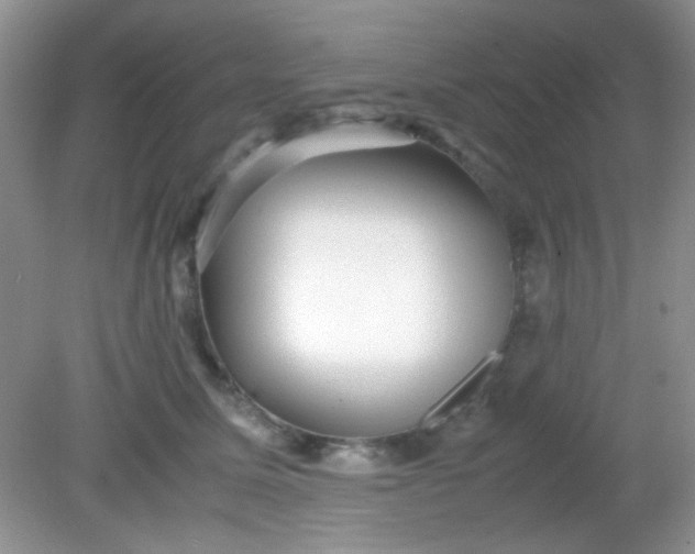 X0000081610611200701291429