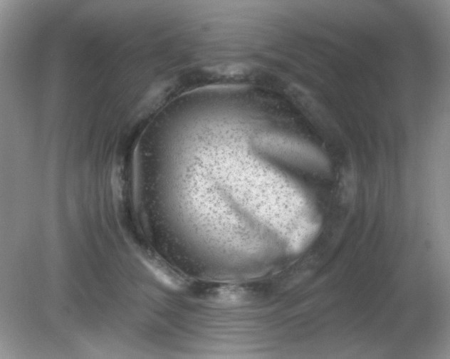 X0000081610612200701291429