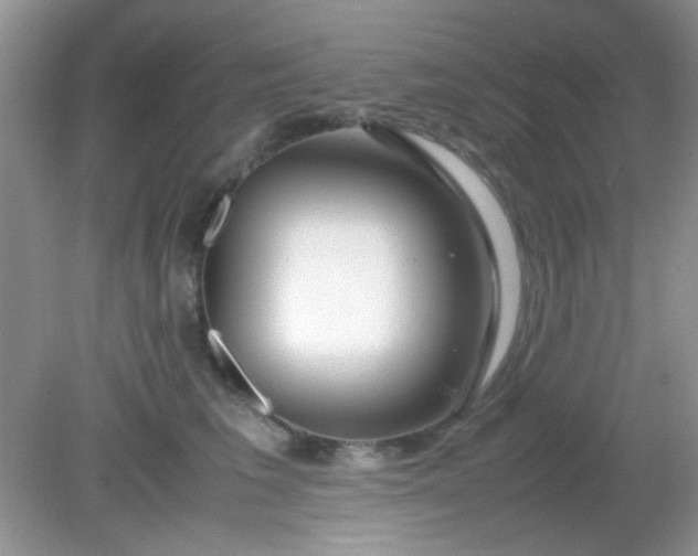 X0000081610613200701291429