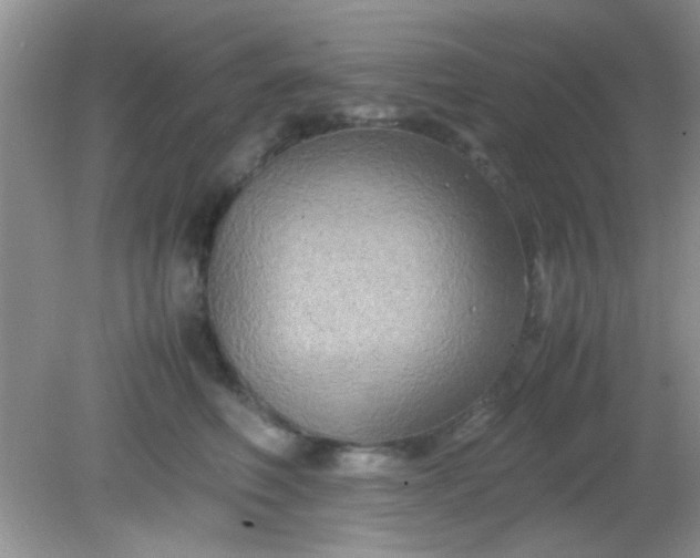 X0000081610614200701291429