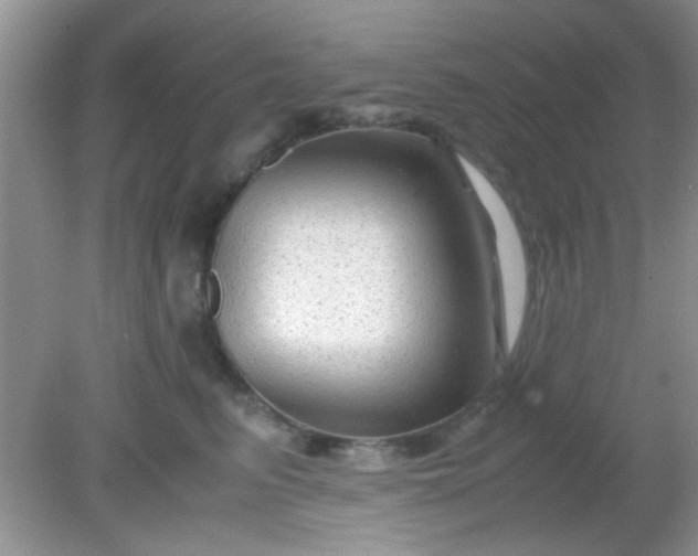 X0000081610615200701291429