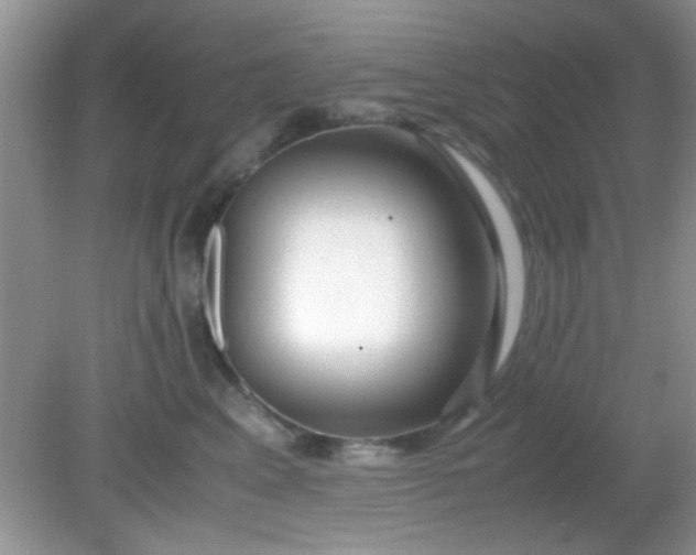 X0000081610617200701291429