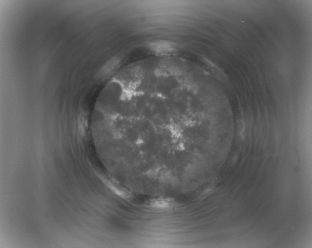 X0000081610618200701291429