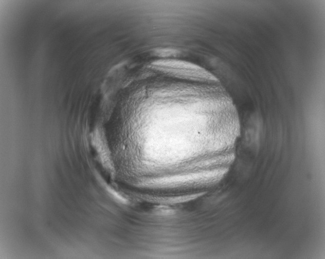 X0000081610620200701291429