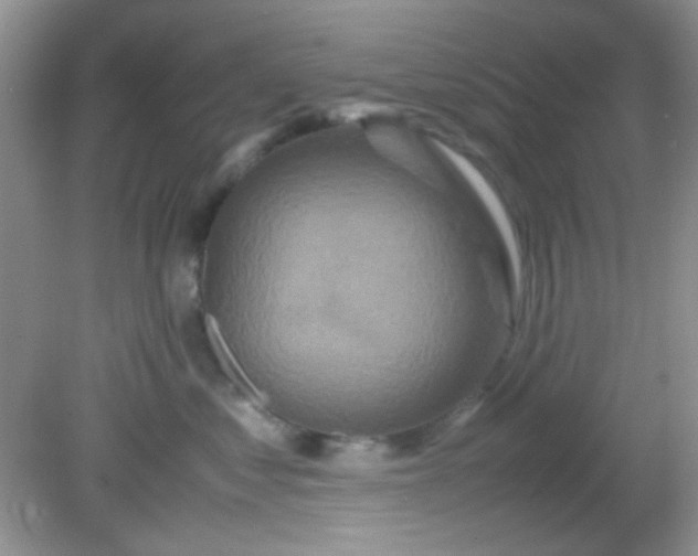 X0000081610621200701291429