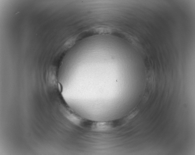 X0000081610622200701291429