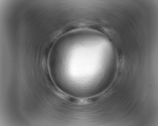 X0000081610623200701291429