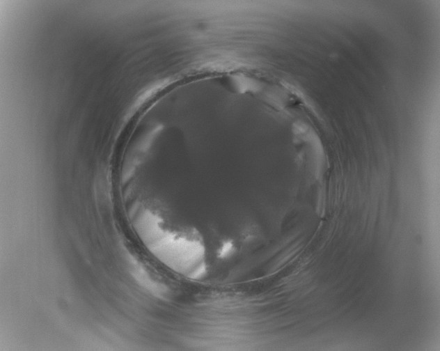 X0000081610626200701291428