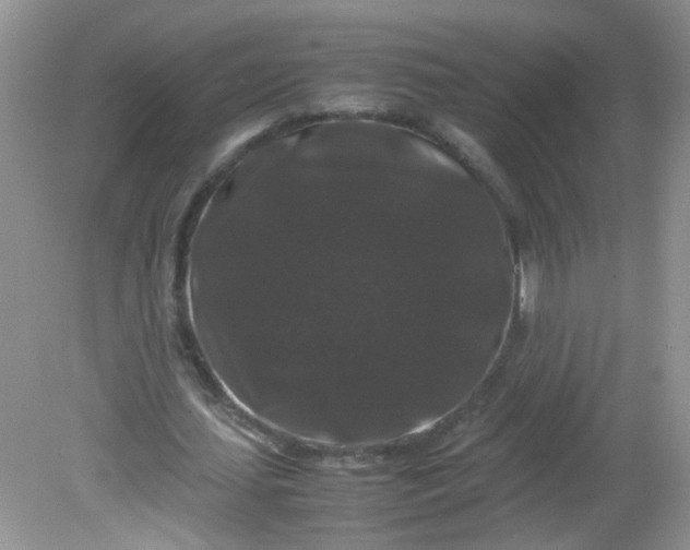 X0000081610627200701291428