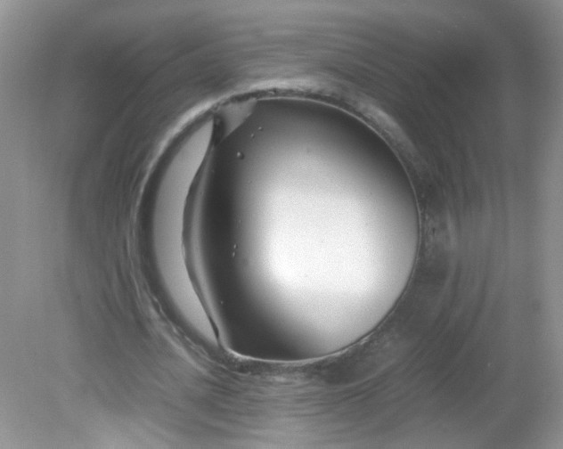 X0000081610628200701291428