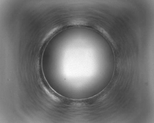 X0000081610629200701291428