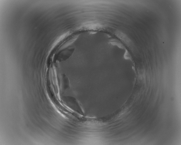 X0000081610630200701291428