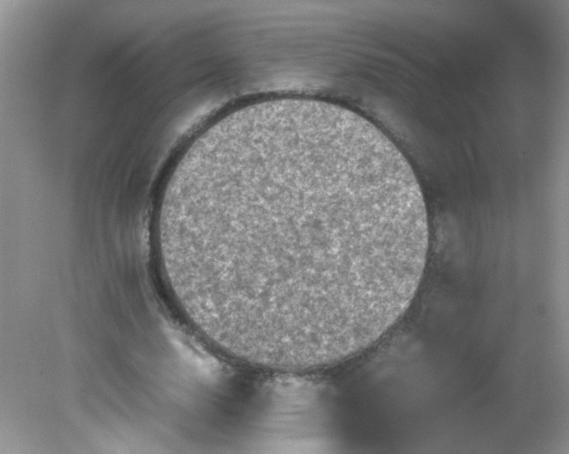 X0000081610632200701291428