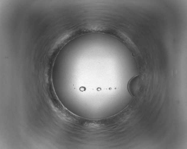 X0000081610635200701291428