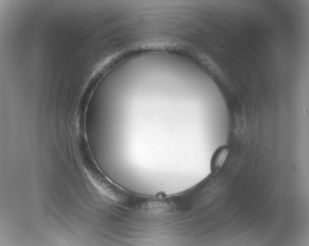 X0000081610636200701291428