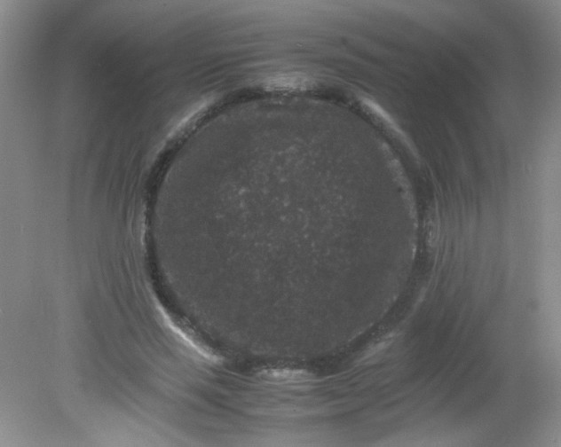 X0000081610637200701291428