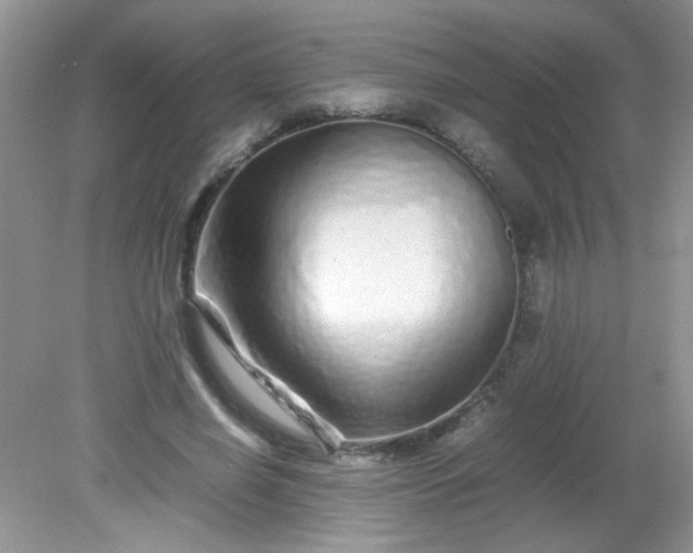 X0000081610638200701291428