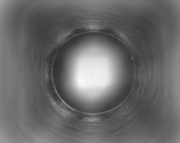 X0000081610639200701291428