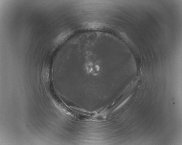 X0000081610640200701291428