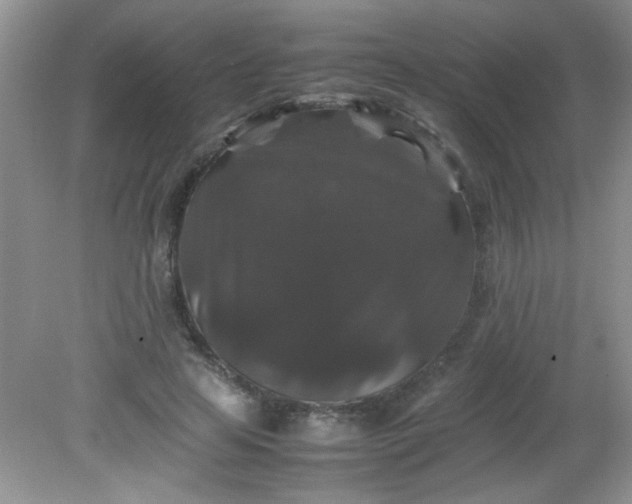 X0000081610641200701291428