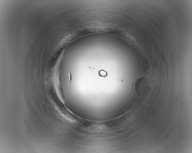 X0000081610642200701291428