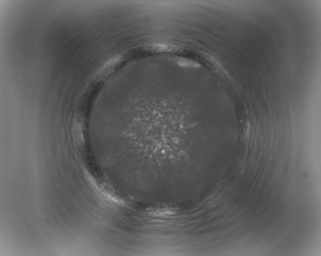 X0000081610643200701291428