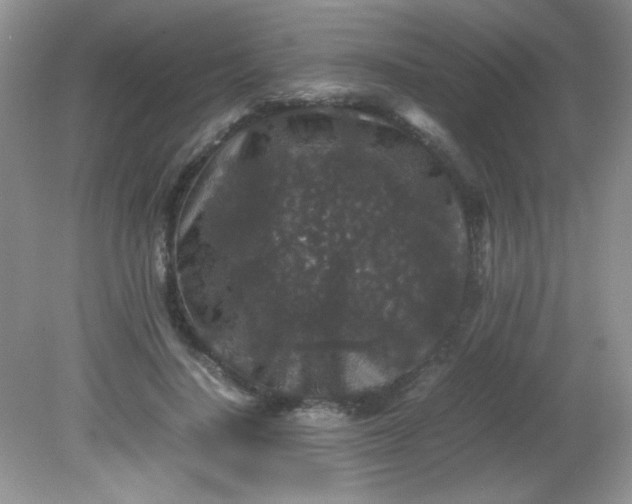 X0000081610644200701291428