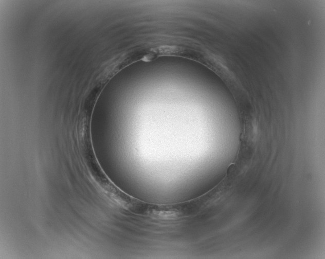 X0000081610645200701291428