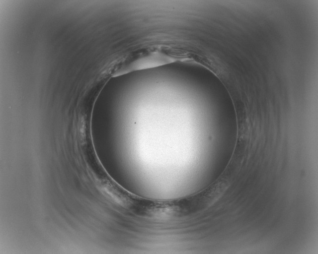 X0000081610646200701291428