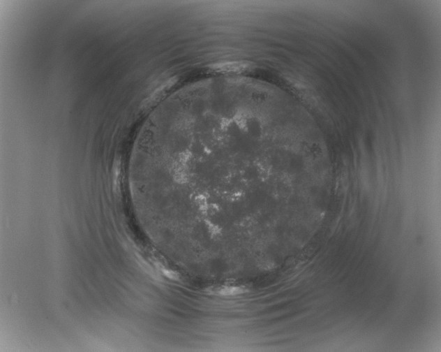 X0000081610647200701291428