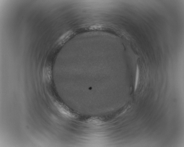 X0000081610648200701291428