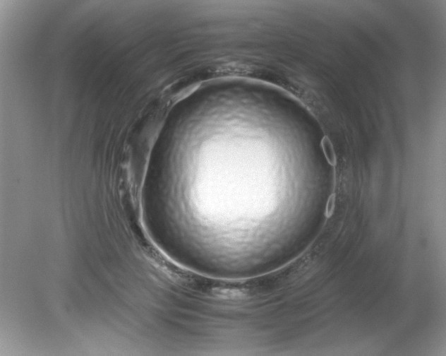 X0000081610649200701291428