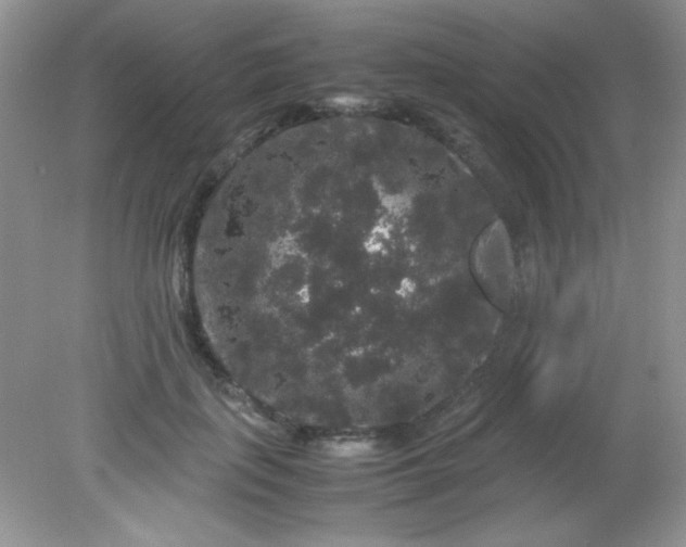 X0000081610651200701291428