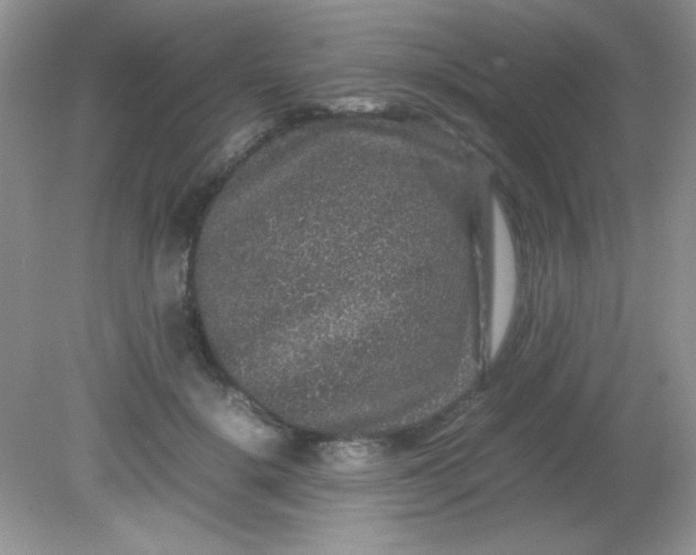 X0000081610652200701291428