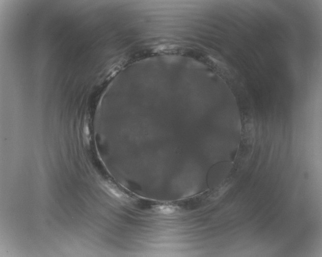 X0000081610654200701291428